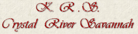 Crystal River Savannah