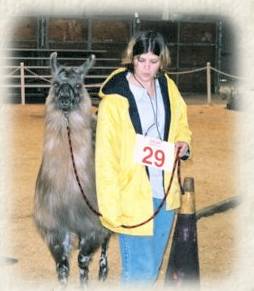 Marji and Marbles